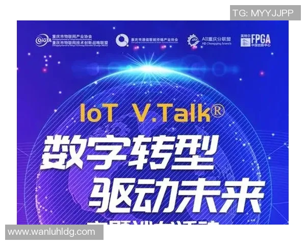 武汉街舞队运营革新探索：从传统到现代的转型之路与未来展望